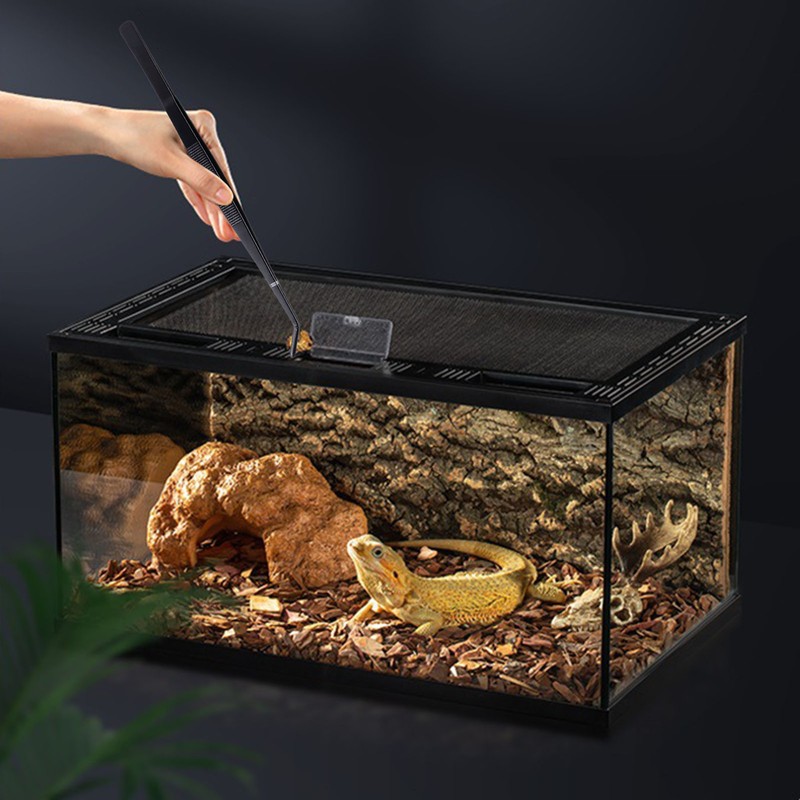 Reptile Feeding Tongs Prevent Slip Stainless Steel Thickened Reptile Feeding
