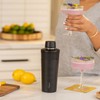 Rabbit Wine 18 oz Stainless Steel Cocktail Shaker, Multi-Use Stainless