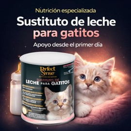 Perfect Sense Sustituto de Leche para Gatitos 360 g con Prebiticos, Probiticos, Enzimas Digestivas y DHA de Origen Marino                             