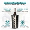 Vacuum Insulated Stainless Steel Wine & Champagne Bottle Cooler –