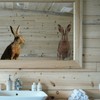 2 Pcs Surprised Bunny - Funny Surprised Bunny Cute Window
