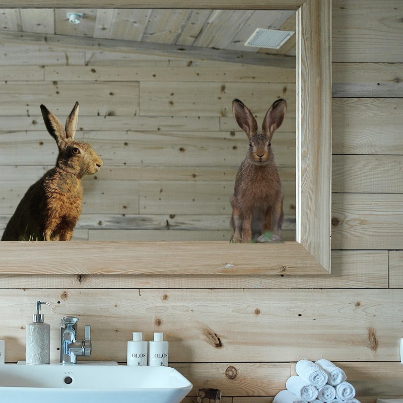 2 Pcs Surprised Bunny - Funny Surprised Bunny Cute Window