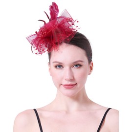 Handy Lidy Fascinators Hats Flower Hair Clip Feathers Tea Party Wedding Derby Cocktail Mesh Pillbox Headwear for Women-Wine Red-01