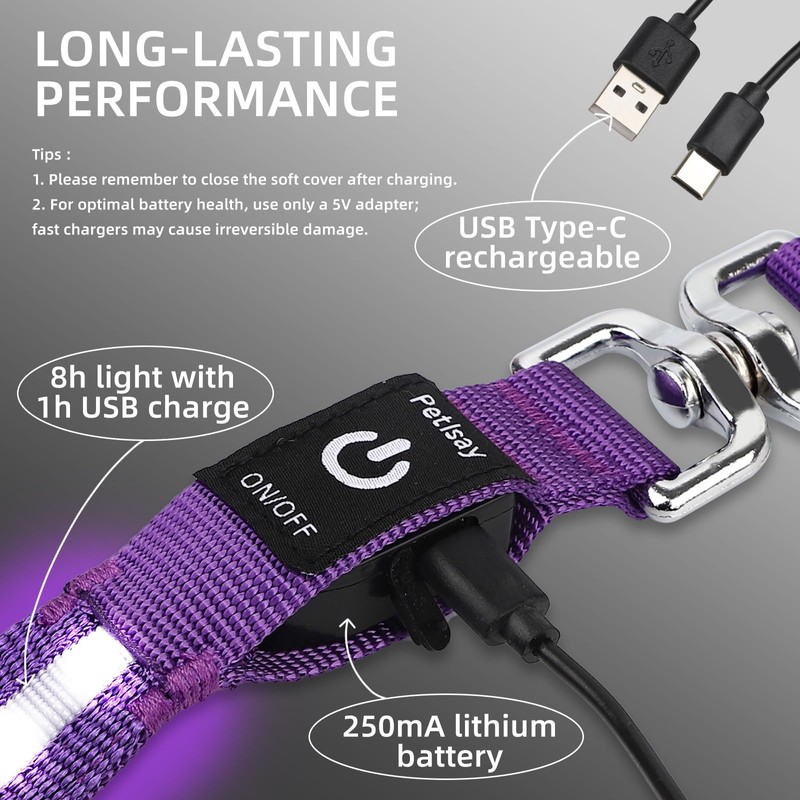 PetIsay Light up Dog Leash for Night Walking - USB