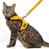 PUPTECK Cat Harness and Leash Set Escape Proof, Reflective Adjustable