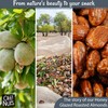 Oh! Nuts Honey Glazed Roasted Almonds - 2 lb -