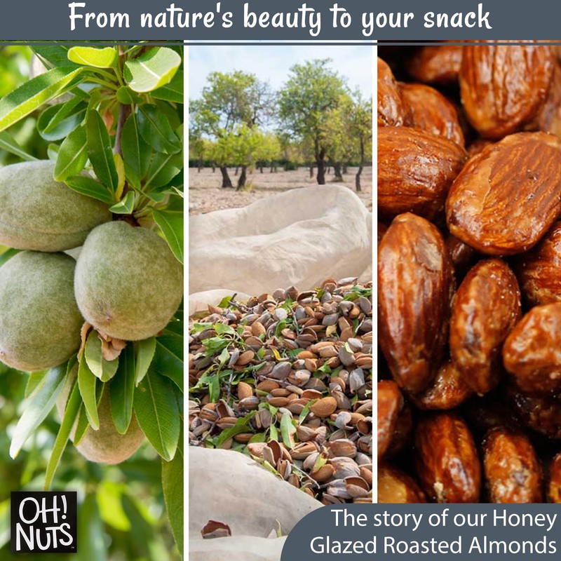 Oh! Nuts Honey Glazed Roasted Almonds - 2 lb -