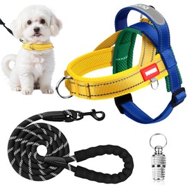 No Pull Dog Harness and Lead Set, Adjustable Reflective Pet Vest for Small Medium Large Dogs, Breathable Soft Padded Escape Proof Harness for Walking Training