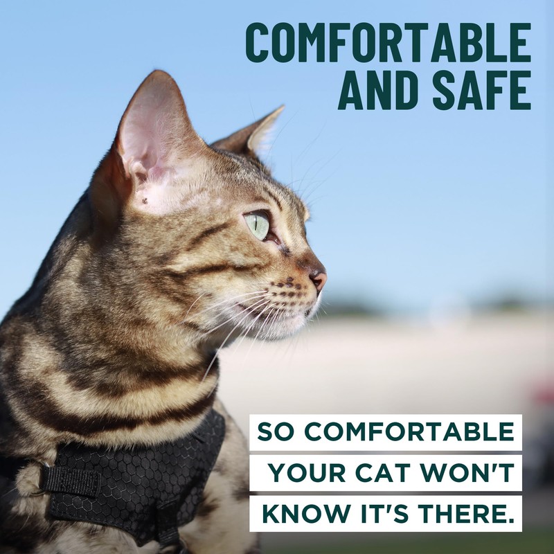 Houdini™ Escape Proof Cat Harness and Leash Set by OutdoorBengal