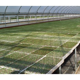 RSI Hydroponic Seed Trays 128 Plugs, 2 Pack