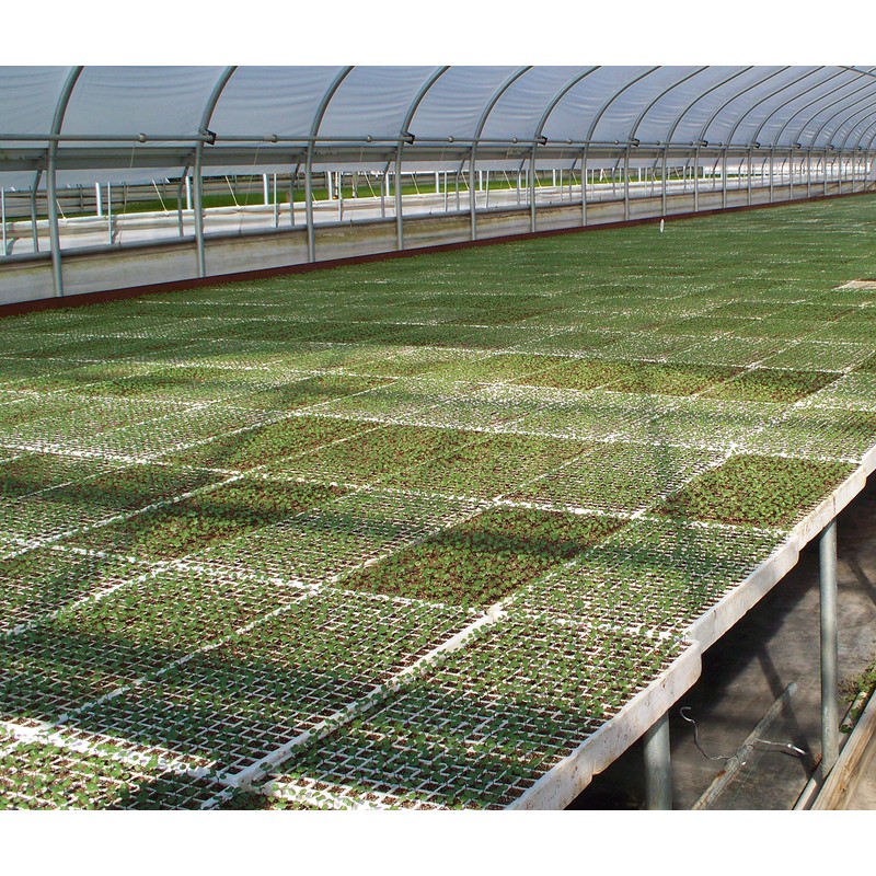 RSI Hydroponic Seed Trays 128 Plugs, 2 Pack