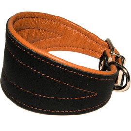 Real Leather Extra Wide Padded Tapered Dog Collar Glossy Black Greyhound Saluki Deerhound Lurcher Whippet Dachshund