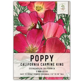 Seed Needs, Carmine King California Poppy Seeds - 2,000 Seeds for Planting Eschscholzia californica - Open Pollinated & Untreated Wildflowers for Growing a Butterfly Garden (1 Pack)