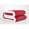 Penguin Home Solid Sherpa Blanket, Microfiber Throw for All Season,