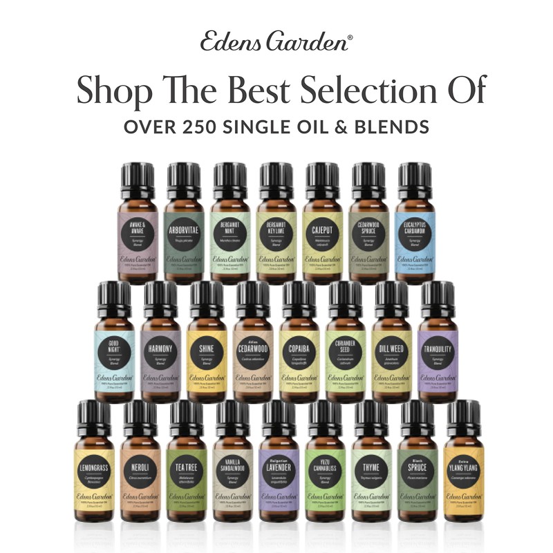 Edens Garden Concentration & Memory Essential Oil Blend, Best for