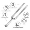 KEQAR 2 x Tuning Forks (A440Hz) Stainless Steel for Standard