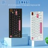 BOYI GMK81-75% Keyboard Kit,Hot-Swap Bluetooth5.0/2.4G/Type-C Tri-Mode Wireless RGB Mechanical Keyboard