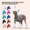 CollarDirect Rolled Leather Dog Harness Small Puppy Step-in Leash Lead