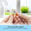 TMS Small Strong Fridge Magnets, 14 Coloured Magnetic Push Pins