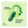 ProCombo - The Smart synbiotic with targeted delivery of The