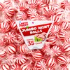 Jumbo MInt Balls Hard Candy, Individually Wrapped (1 Pound Bag
