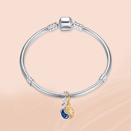 Annmors Abalorio de plata de ley 925 con circonita cúbica 5A para pulseras europeas, regalo de Navidad, San Valentín, día de la madre para mujeres, Plata, Circonita cúbica