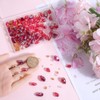 SUNNYCLUE 1 Box 280Pcs Teardrop Crystal Glass Beads Bulk Vertical