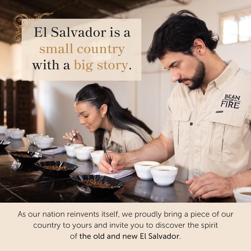 Bean of Fire El Salvador Red Bourbon Honey Ground Coffee