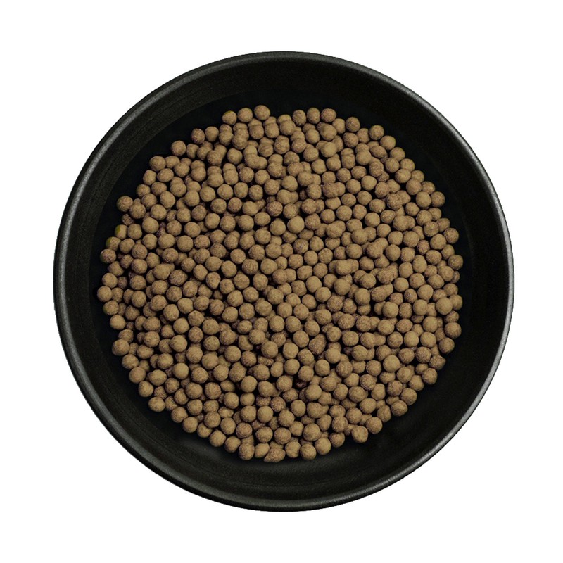 Donggwang General Products Domestic Gujeolcho Hwan Gujeolcho 500g / 동광종합물산