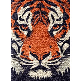 Wild Animal Orange Tiger Latch Hook Rug Kit for Adults DIY Carpet Cushion with Printed Canvas Crochet Yarn Craft Hook and Latch Tapestry for Home Decor Pets Warm Pads 60x40cm(1)