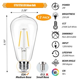 winsaLED 12 Pack 2W LED Edison Bulbs, 25 Watt Light Bulbs Equiv, 2700K Soft Warm with E26 Standard Base, LED ST19 Low Watt Light Bulbs, 250LM, Not-Dimmable, 120V