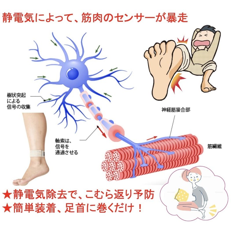 Mesh Leg Leg - Ankle Belt, Feet, Convulsion, Flicker, Calf,