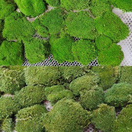 prefleur 2 Color Mix Pack Preserved Pole Moss Pillow Bun Cushion Natural Decorative Green DIY Kit Art Wall Decor Florist Decor Easter Table Decor Wedding(1.5 sq.ft, Green-A,Green-B)