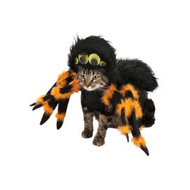 California Costumes, Spider Pup, Dog Costume Small