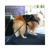 Dog Seatbelt, Updated 3-in-1 Pet Car Seat Belt for Dogs,