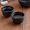Tableware East Sake Cup Guinomi, Iron Black or-002