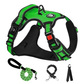 NESTROAD No Pull Dog Harness,Adjustable Oxford Dog Vest Harness with Leash,Reflective No-Choke Pet Harness with Easy Control Soft Handle for Small Dogs(Small,FluorescentGreen)