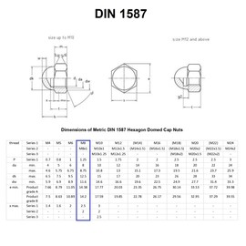TERF® M8 Dome Cap Nuts M8 (8mm) Steel Dome Cap Hex Nut Head Acorn Nuts Cover - Pack of 20
