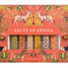 eat.art Salts of Africa Blend Collection | Sampler Spice Gift