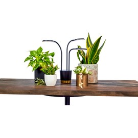 AeroGarden Trio Grow Light for Indoor Plants, Grow Live Plants Anywhere in The Home, Adjustable Light Modes, Black