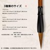 Calligraphy Brush Set, Set of 3, Compatible with All Calligraphy