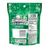 ICE BREAKERS Ice Cubes Spearmint Sugar Free Chewing Gum Pouch,