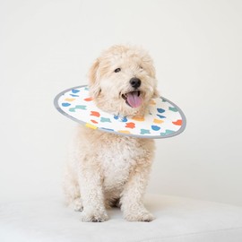 [セブンペット] 猫 犬 エリザベスカラー エアーネックカラー 軽量 通気性 ケガ 介護 ソフト 傷舐め防止 防水 かわいい ストレスフリー M