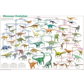 Feenixx Publishing Dinosaur Evolution - Laminated Poster