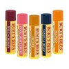 버츠비 립밤x6모음전 Burt's Bees Lip Balm Collection x6