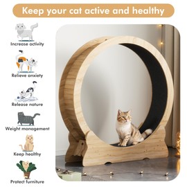 Mondeer Cat Exercise Wheel, 43.3 inch Cat Wheel for Indoor Cats with Carpeted Runway, XL Cat Treadmill with Removable Carpet and Cat Teaser, for Running Walking Training (Natural Wood)