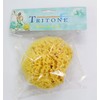 Bellini Natural Sea Sponge, Honeycomb Seeds, Yellow, Medium