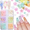 Dijes de uñas 3D (mariposa flor oso)
