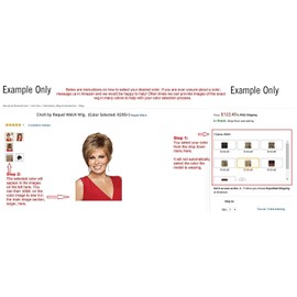 Dome T Hairpiece Color 44 Charcoal Gray - Foxy Silver Wigs Formal Classy Braided Chignon Bun Updo Synthetic African American Womens Lightweight Bundle w/MaxWigs Hairloss Booklet