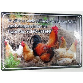 mrdeco Metal Sign 20 x 30 cm Curved There Are So Many Chickens and Decorative Tin Sign